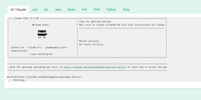 "Screenshot of OpenCage homepage showing how to load the opencage-geocoding-api Agent Skill"